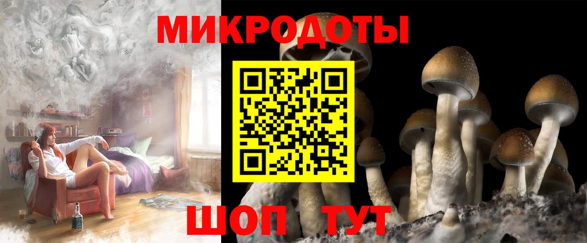 Галлюциногенные грибы Magic Shrooms Камень-на-Оби